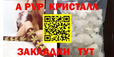 крисы Кингисепп